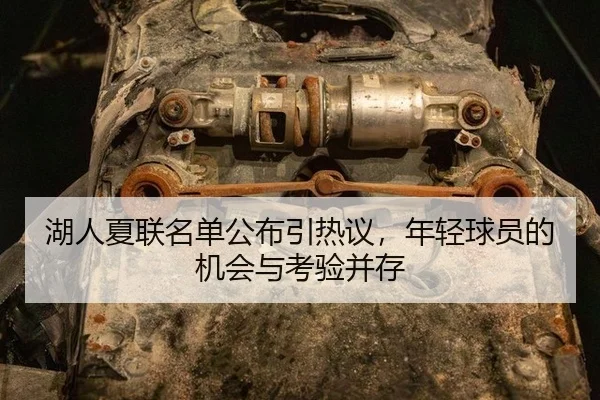湖人夏联名单公布引热议，年轻球员的机会与考验并存